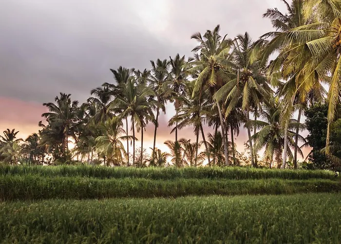 Villa The Luxe - A Boutique Ubud (Bali)