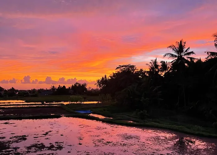 The Luxe - A Boutique * Ubud