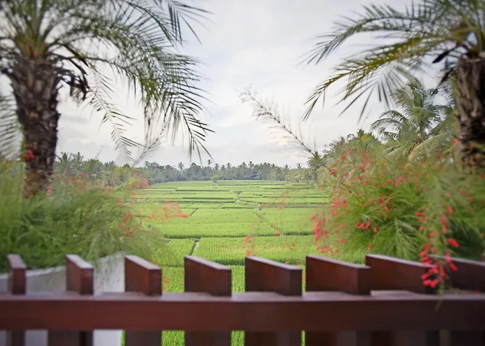 The Luxe - A Boutique Villa Ubud (Bali)