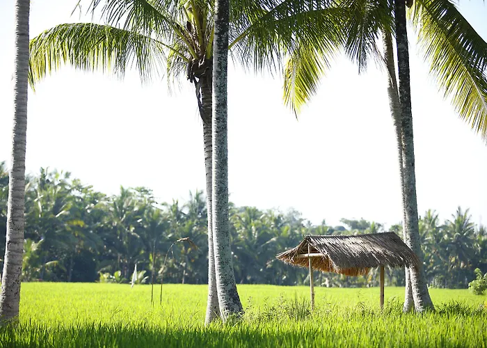 The Luxe - A Boutique Villa Ubud (Bali)