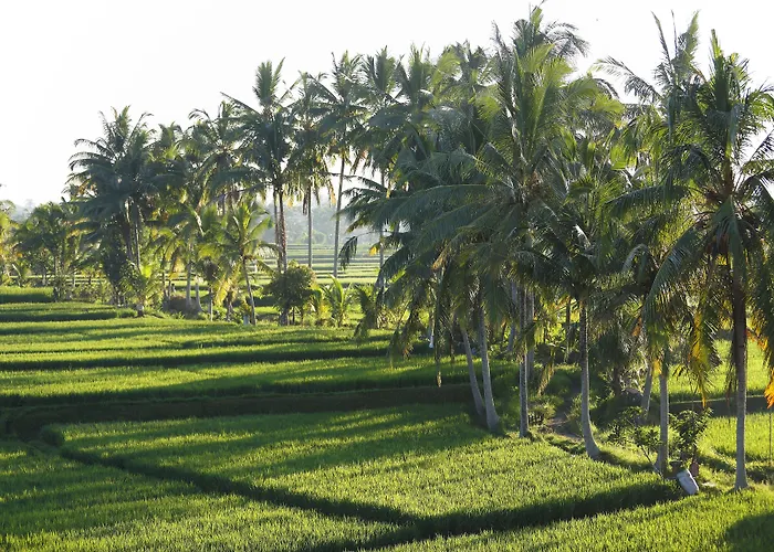 The Luxe - A Boutique Villa Ubud (Bali)
