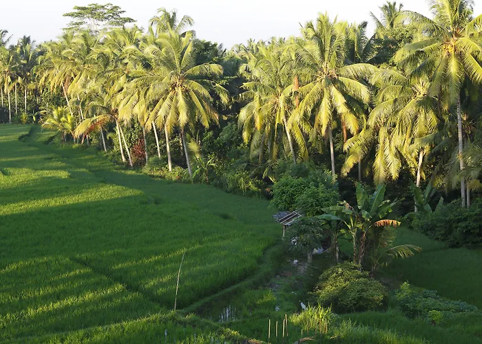 The Luxe - A Boutique * Ubud (Bali)