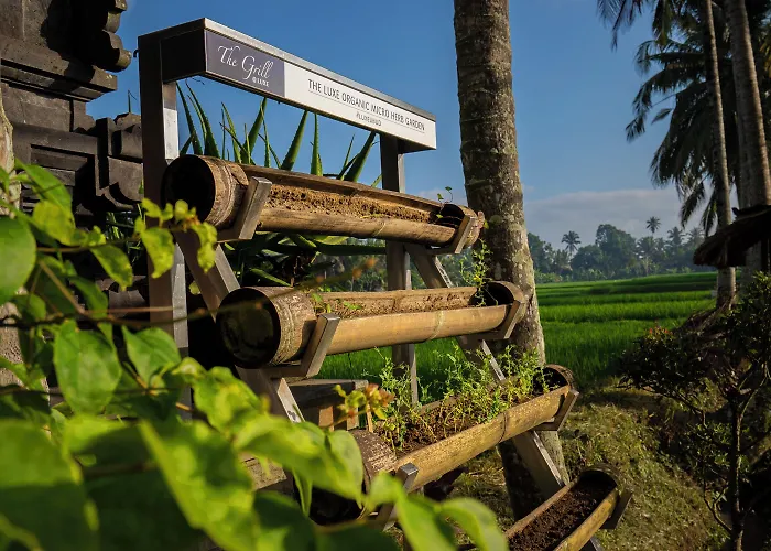 The Luxe - A Boutique Ubud (Bali)